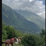 Russ Girl falls from the horse. template
