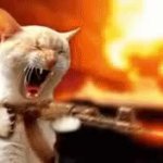 Mogs of war GIF Template