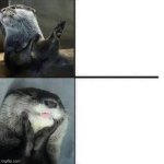 Otter hotline bling