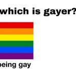 Which Is Gayer? | image tagged in which is gayer | made w/ Imgflip meme maker