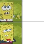 sponge