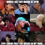 work dismay no fun | WHEN I GET OFF WORK AT 6PM; AND I DRIVE PAST THE WEEDS IN MY YARD... | image tagged in star trek face palm | made w/ Imgflip meme maker