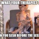 "session" vs session | POV: WHAT YOUR THERAPIST SEES; WHEN YOU SESH BEFORE THE SESSION | image tagged in high alien fma | made w/ Imgflip meme maker