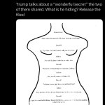 Trump Epstein Birthday Letter template