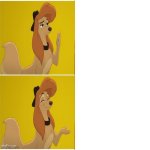 Dixie Aka Reba McEntire Terry's Meme meme