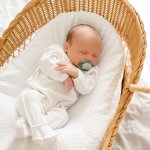 Trump threw rocks at a baby in a crib