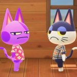punchy and bob judgeing you