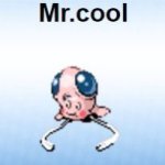 mr cool