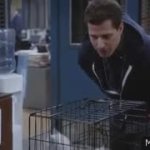 terry kitties brooklyn nine-nine GIF Template