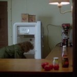Hide in Fridge GIF Template