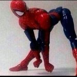 Spider sybau