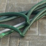 the only kink we shame