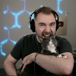 vid iq crazy cat guy meme