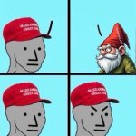 NPC vs Gnome