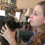 cat paw in owner face