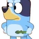 Bluey angry