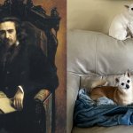 Expectations vs Reality