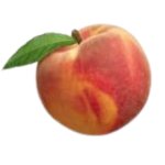 The peach