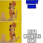 Who Does Not Like Disney Fans | DISNEY FANS; REBA MCENTIRE FANS | image tagged in dixie aka reba mcentire terry's meme,meme,the fox and the hound 2,reba mcentire,disney | made w/ Imgflip meme maker