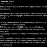 Black on White Crime Stats