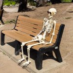 Skeleton on bench in sunglasses