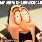 We Hate Shadowsugar | ME WHEN SHADOWSUGAR | image tagged in it's burning my eyes | made w/ Imgflip meme maker