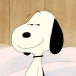 Chill beagle :3