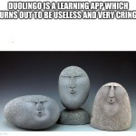 Oof stones | DUOLINGO IS A LEARNING APP WHICH TURNS OUT TO BE USELESS AND VERY CRINGY | image tagged in oof stones | made w/ Imgflip meme maker