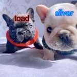 silver and toad's announcement temp meme