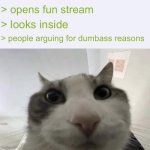 Istg this stream is the reason why i left this stream | > opens fun stream; > looks inside; > people arguing for dumbass reasons | image tagged in green text cat | made w/ Imgflip meme maker