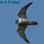 Tomorrow is Friday! | Tomorrow is Friday! | image tagged in tomorrow is friday | made w/ Imgflip meme maker