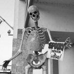 HD Skelly