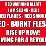 SCREAMING FOR A REVOLUTION!