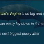 World's biggest pussy