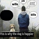 This is why the dog is happier meme