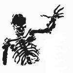 Skeleton