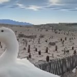 Souls of the Un-duck template