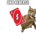 UNO REVERSE | UNO REVERSE | image tagged in throwing cat new | made w/ Imgflip meme maker