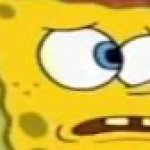 spon bob meme