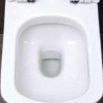 inside toilet