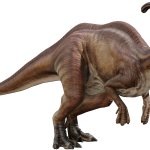 Parasaurolophus 8 (Classic Design)