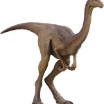 Gallimimus 10