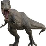 Rexy 30
