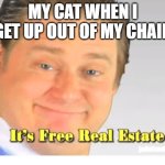 top text | MY CAT WHEN I GET UP OUT OF MY CHAIR | image tagged in it's free real estate | made w/ Imgflip meme maker