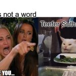 Teef Teeth word crimes | Teef is not a word; Teefer Sutherland; I HATE YOU... | image tagged in memes,woman yelling at cat | made w/ Imgflip meme maker