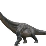 Dreadnoughtus 6 (JWD Design)