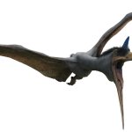 Quetzalcoatlus 5 (JWD Design)