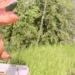 Dinosaur Trump meets Himself