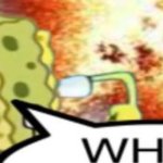 WHAT meme