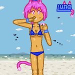 luna meme